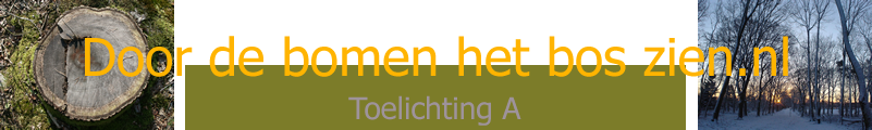 Toelichting A
